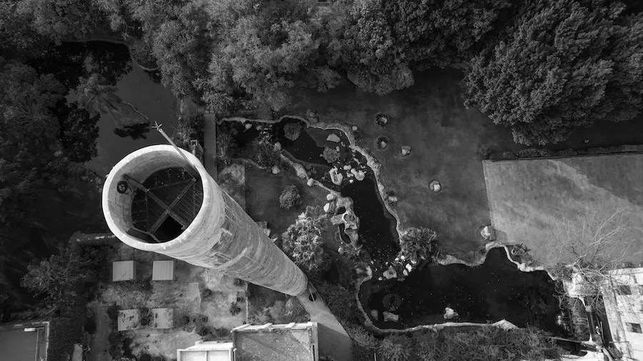 16th Century A Dream Rooted in Mexican Soil